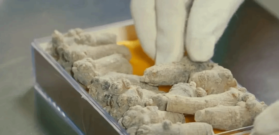 Z6·人生就是博(中国区)官方网站