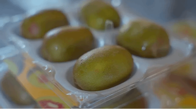 Z6·人生就是博(中国区)官方网站