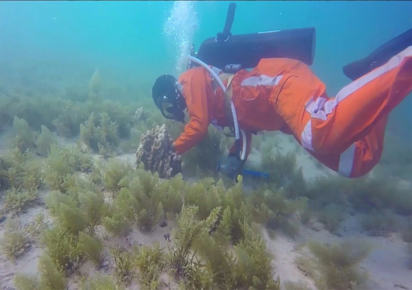 Z6·人生就是博(中国区)官方网站