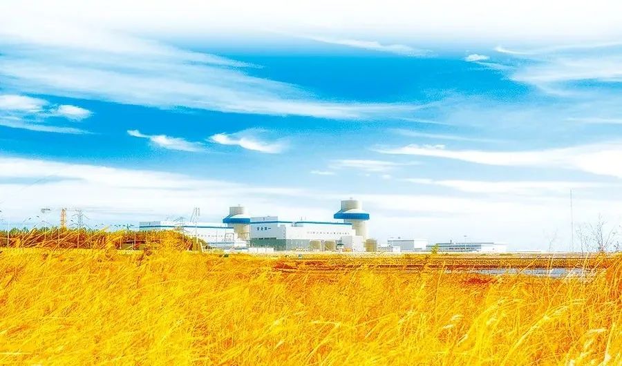 Z6·人生就是博(中国区)官方网站